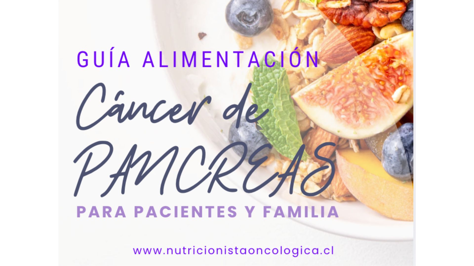Guía gratuita – Nutrición en cáncer de páncreas- Descarga gratuita basada en evidencia